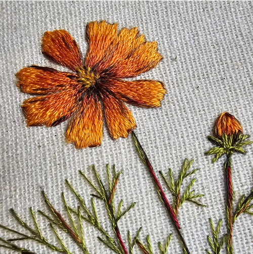 Borda tu primera flor esta semana