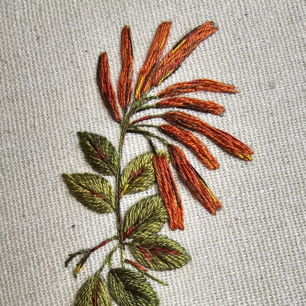 Borda tu primera flor esta semana